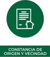 Constancia de origen y vecindad Tlalixtac